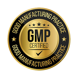 GMP Logo