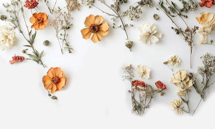 Dried Chamomile, Hibiscus, and Calendula Flowers