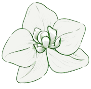 Decorative Organic Spices Icon