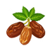 Bahria Oasis Dates Icon