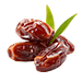 New Valley Dates Icon